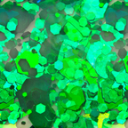 Body Face Glitter Makeup